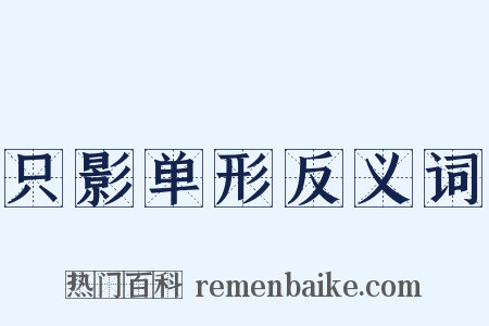 只影单形反义词是什么意思的图片